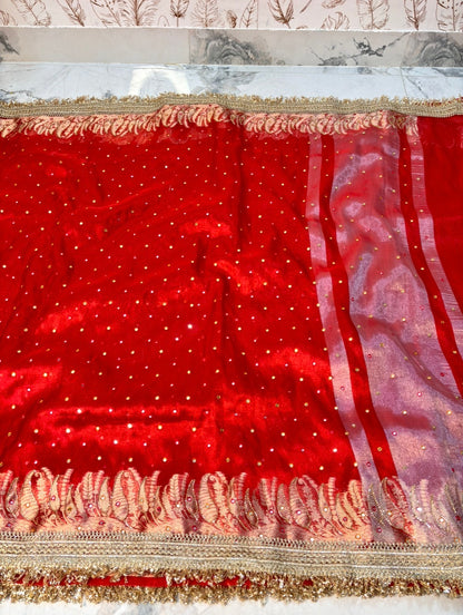 Mirror Worked Premium Soft Tissue Saree
