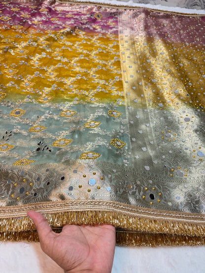 Mirror Handwork Premium Soft Tissue Saree