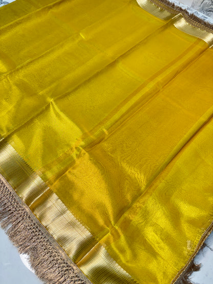 Banarasi Premium Soft Tissue Silk Saree