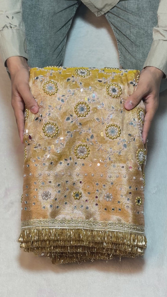 Ghungroo Banarasi Mirror & Pearl Handwork soft Tissue saree