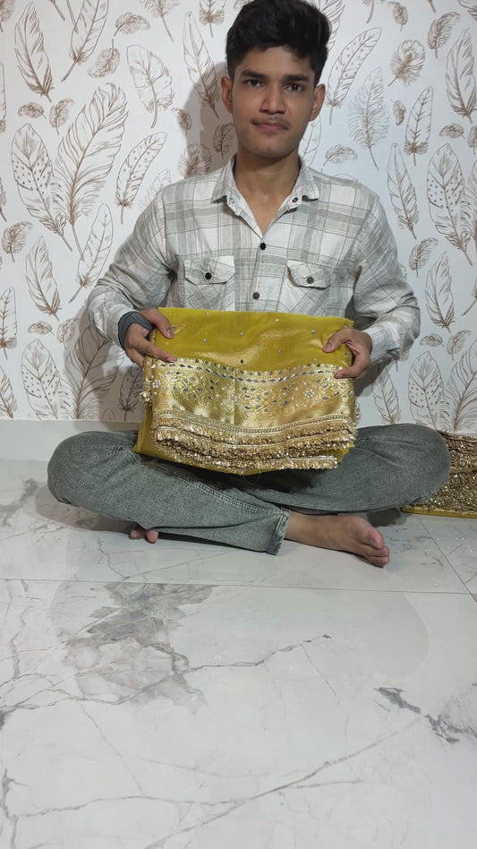 Mirror worked Premium Soft Tissue Saree
