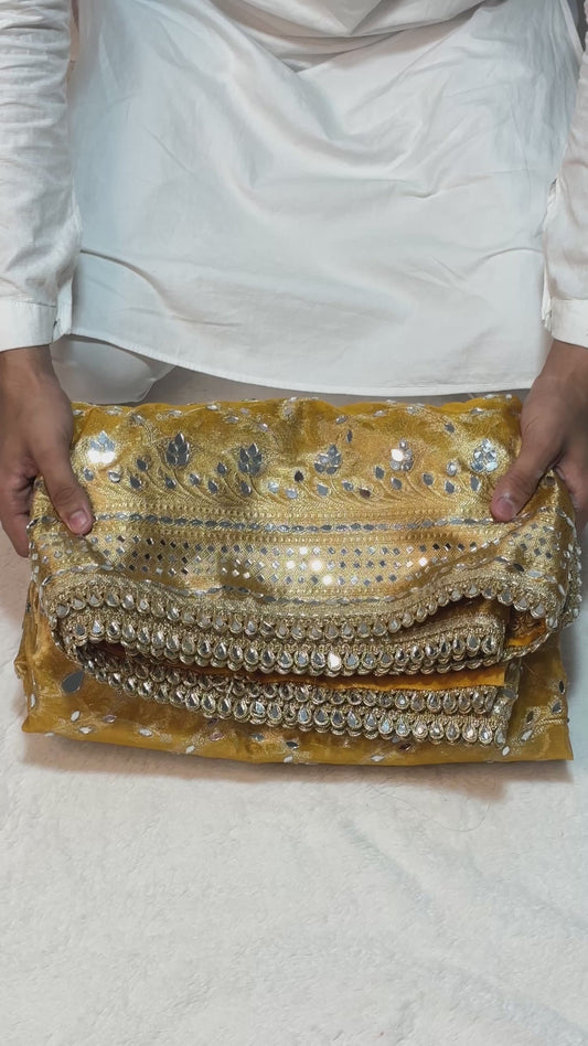 Mirror Handwork premium Soft Tissue Saree
