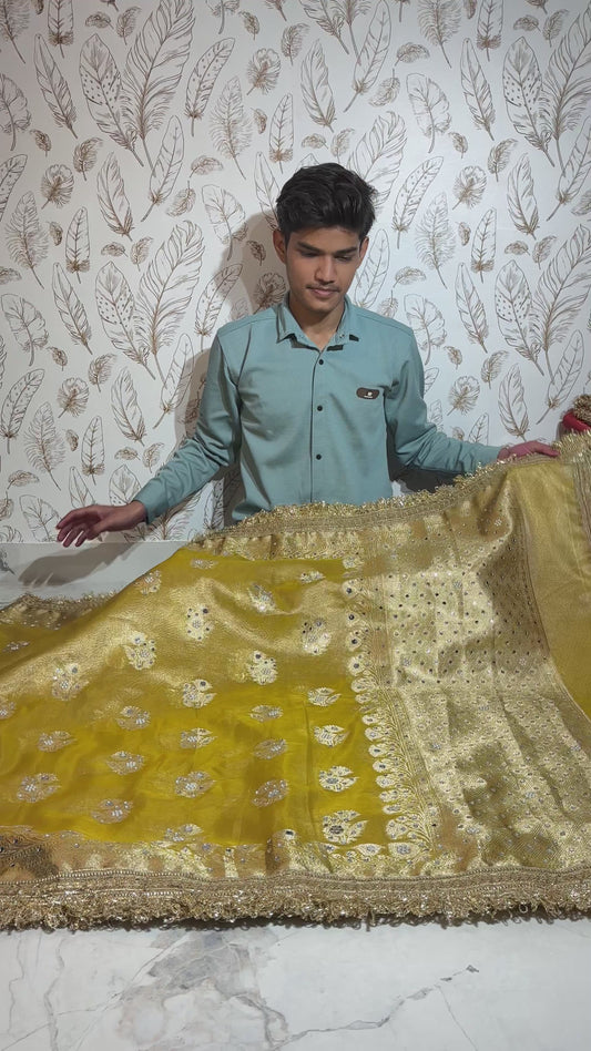 Mirror worked Premium Soft Tissue Saree